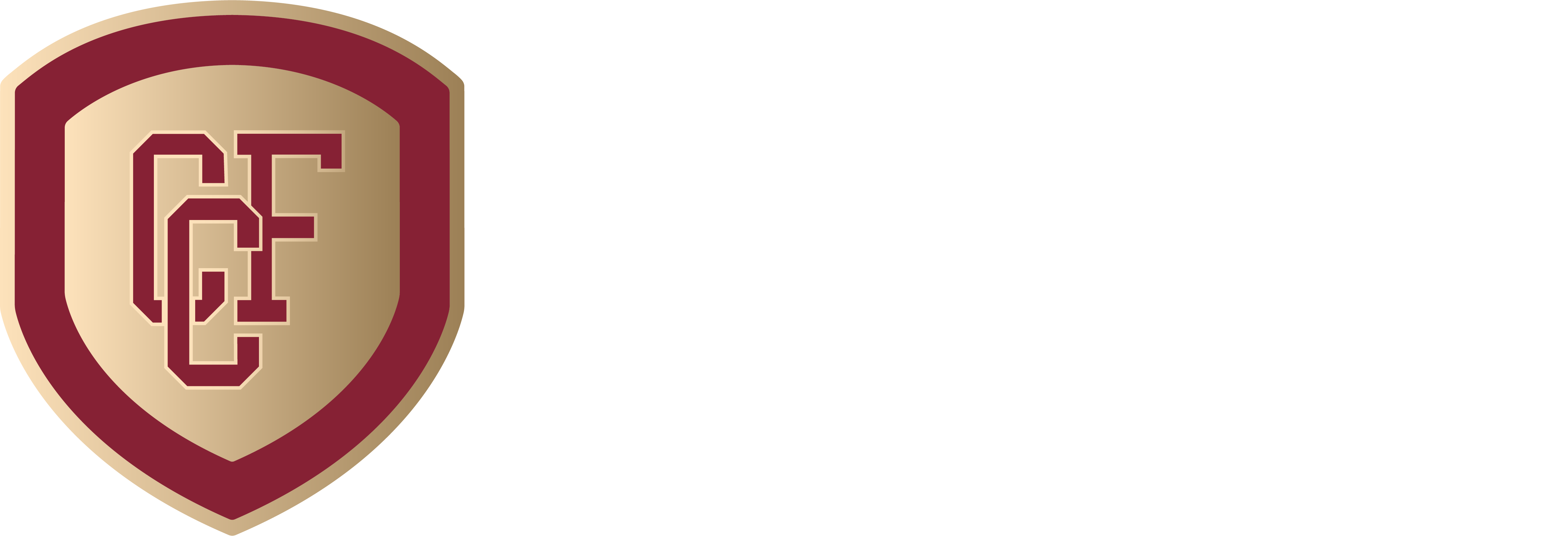 Carlos Chagas Filho School JK